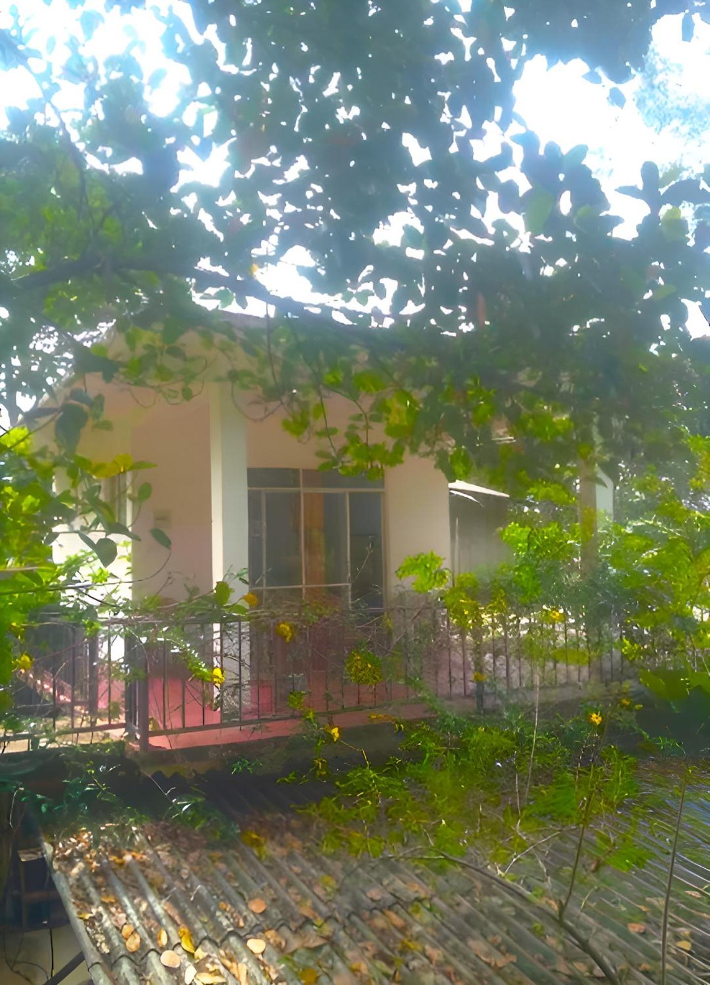 Senehas Homestay Елла Екстер'єр фото